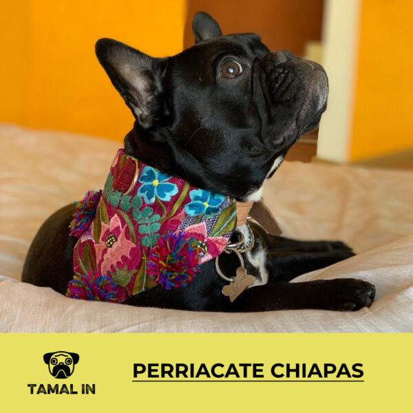 Perriacate Chiapas